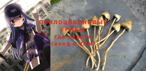 экстази Лагань